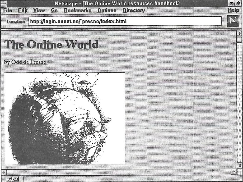 Netscape, un boom en sólo unos meses.
