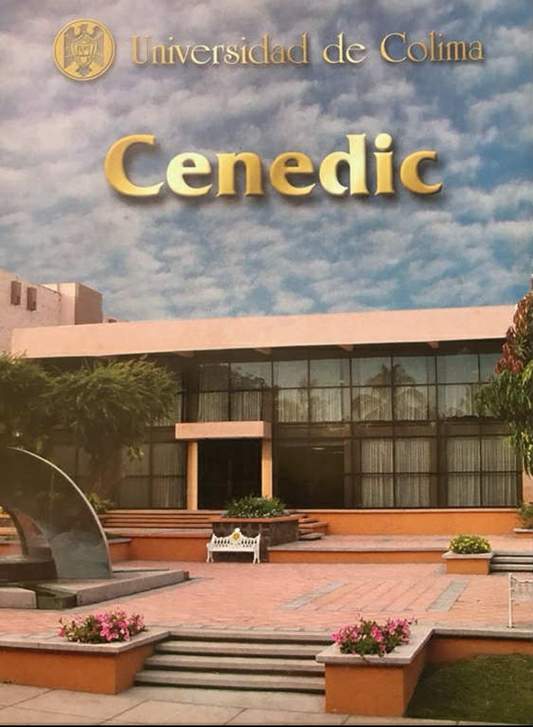 Folleto del Cenedic.