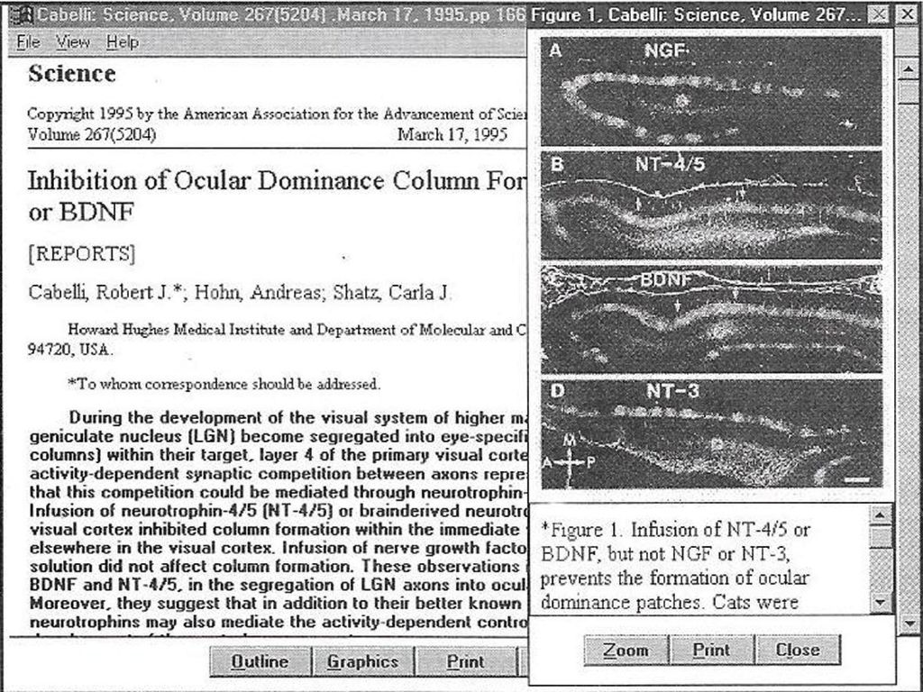 Una de las opciones que ofrecen las bases de datos en texto completo de Ovid, tanto en cd-rom como en web, es la de mostrar las imágenes contenidas en el artículo original simplemente clicando con el ratón en la palabra Figure.