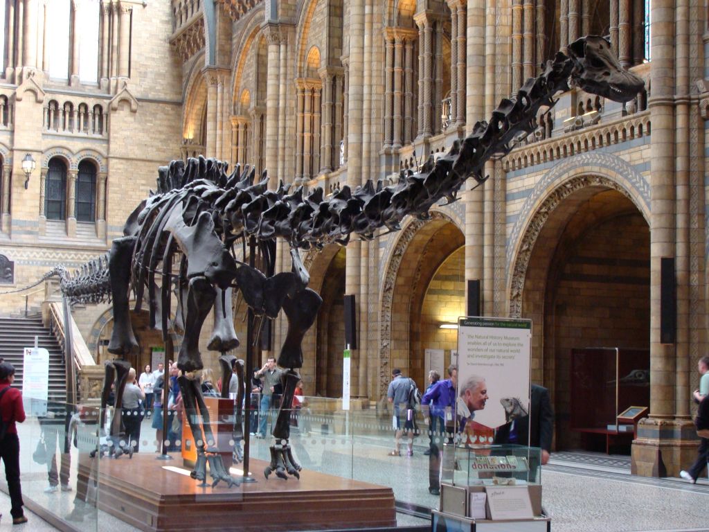 London's Natural History Museum