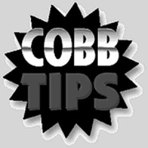 Logo Cobb Group 